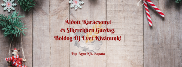 green-red-classic-christmas-greeting-facebook-cover_2